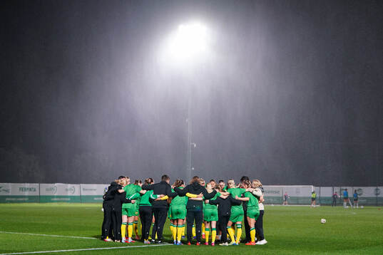 Players of Hammarby