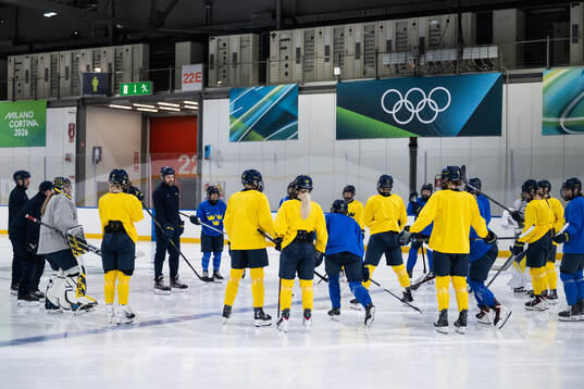Players gather around head coach Ulf Lundberg of Sweden at