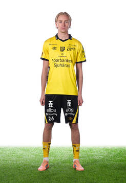 Elfsborgs Ludvig Richtnér