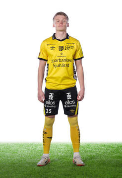 Elfsborgs Ari Sigurpalsson