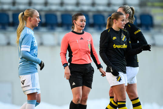 Domare Camilla Friberg