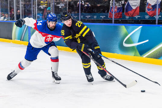Peter Ceresnak of Slovakia and Rasmus Dahlin of Sweden in