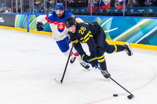 Peter Ceresnak of Slovakia and Rasmus Dahlin of Sweden in