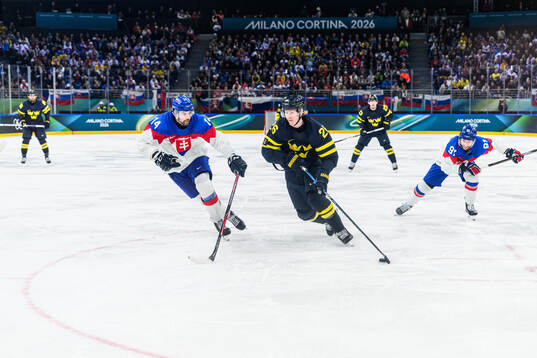 Peter Ceresnak of Slovakia and Rasmus Dahlin of Sweden in