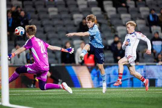 Djurgårdens Bo Hegland