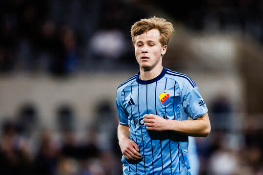 Djurgårdens Bo Hegland
