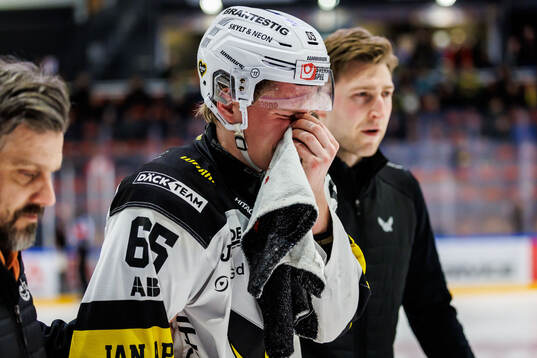 Västerås Karl Annborn lämnar isen