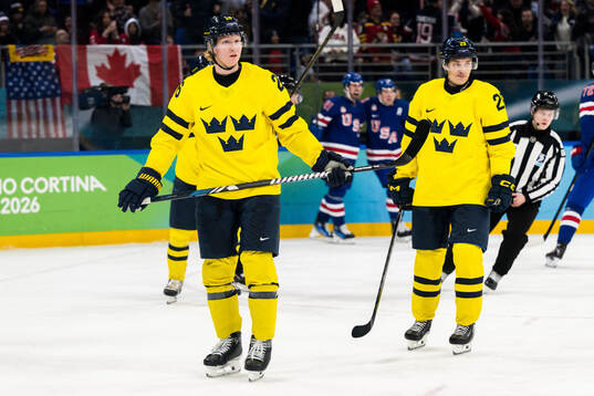 Rasmus Dahlin and Pontus Holmberg of Sweden look dejected