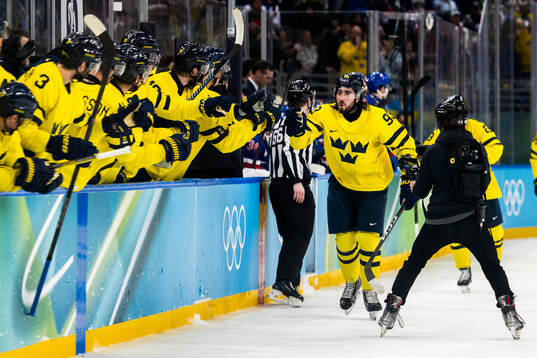 Mika Zibanejad of Sweden celebrates