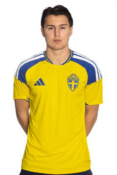 Mario Amini