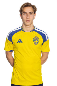 Emil Sadarangani