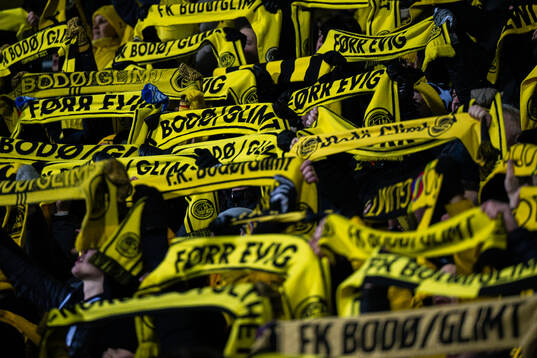 Spectators in the stands