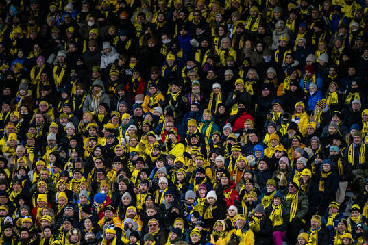 Spectators in the stands