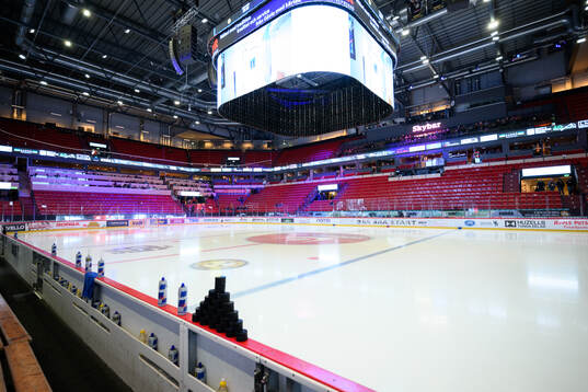 Monitor ERP Arena