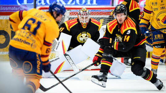 Brynäs målvakt Erik Källgren