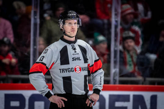 Domare Stefan Leijonklo