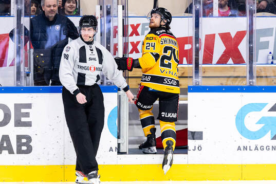 Luleås Brendan Shinnimin blir utvisad