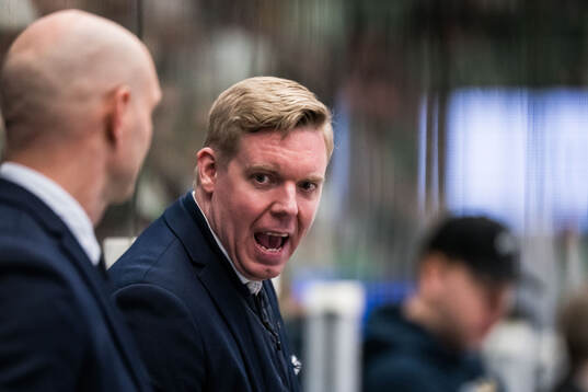 HV71s tränare Anton Blomqvist