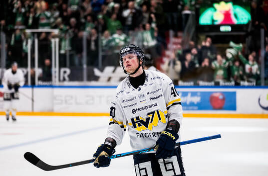 HV71s Oskar Stål-Lyrenäs deppar
