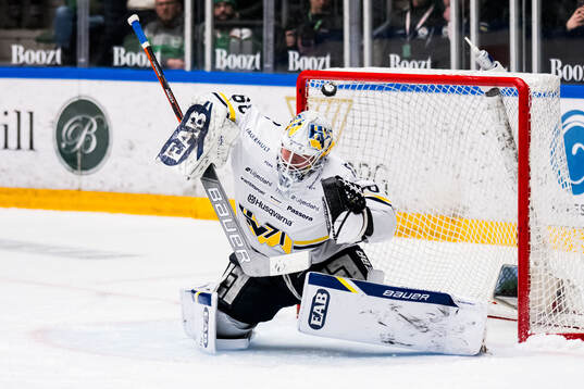 HV71s målvakt Felix Sandström vid 3-3 målet