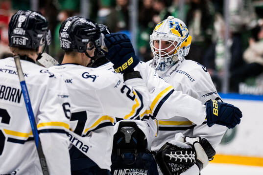 HV71s målvakt Felix Sandström jublar