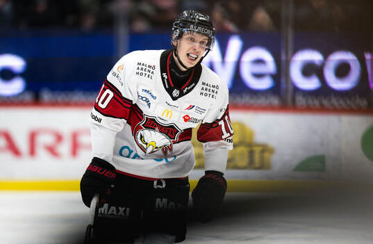 Malmö Redhawks William Von Barnekow