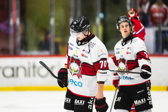 Malmö Redhawks Felix Carell deppar