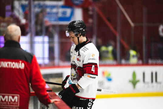 Malmö Redhawks Martin Schreiber deppar