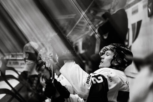 Malmö Redhawks Robin Salo