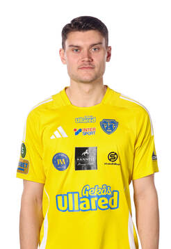 Falkenbergs Albin Andersson