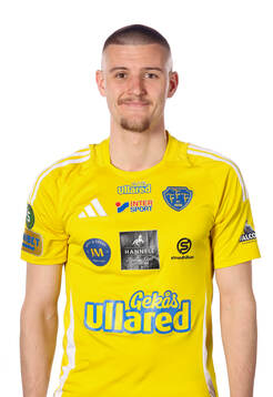 Falkenbergs William Videhult
