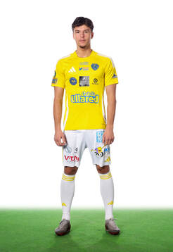 Falkenbergs Lion Beqiri