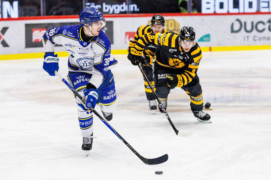 Leksands Stefan Milosevic