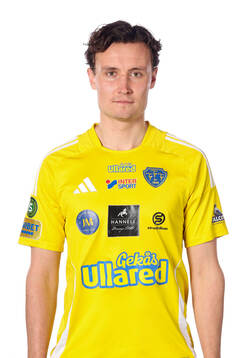 Falkenbergs Alexander Salo
