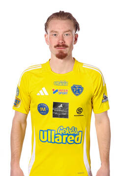 Falkenbergs Linus Borgström