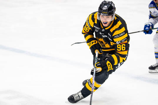 Skellefteås Rickard Hugg