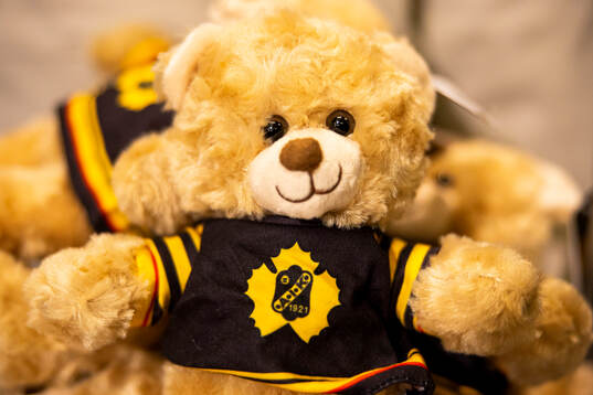 Skellefteå teddybjörn