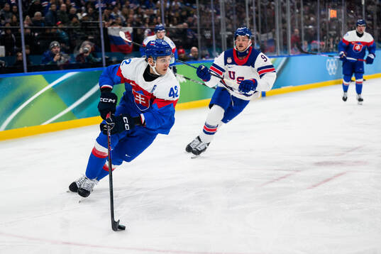 Martin Fehervary of Slovakia and Jack Eichel of USA in the