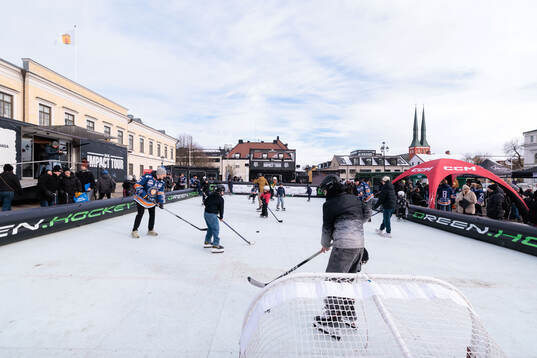 Hockey rink