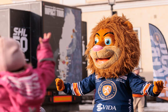 Växjös maskot