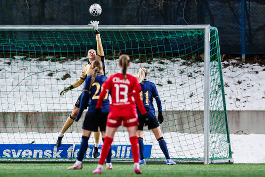AIKs målvakt Emilia Dannbäck