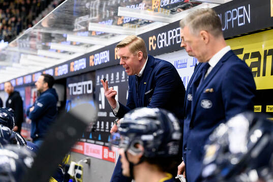 HV71s tränare Anton Blomqvist