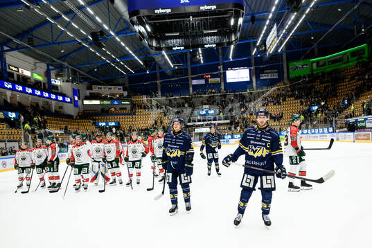 HV71s spelare deppar