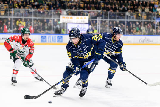 HV71s Justin Glenn Kloos