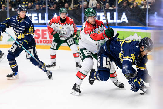 Frölundas Tom Nilsson och HV71s Joona Luoto