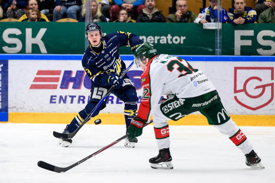 HV71s Hugo Pettersson