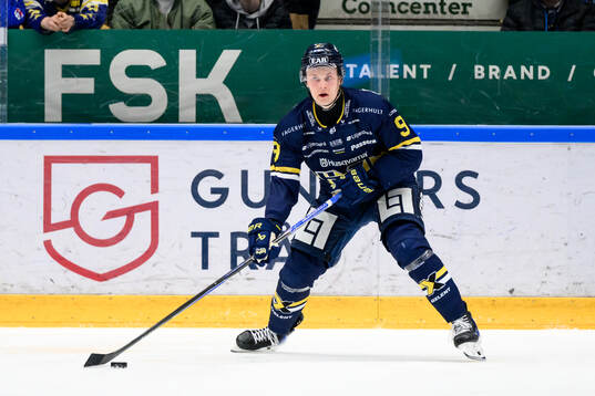 HV71s Hugo Pettersson