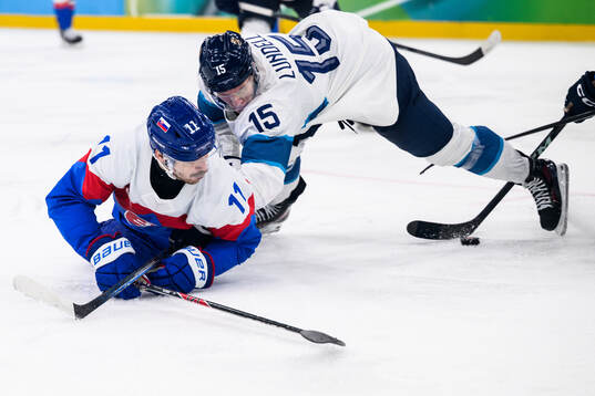 Milos Kelemen of Slovakia and Dalibor Dvorsky of Slovakia