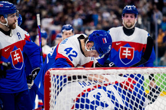 Martin Fehervary and goaltender Samuel Hlavaj of Slovakia