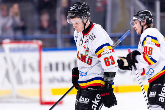 Malmö Redhawks Fredrik Händemark deppar